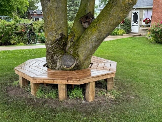 Tree Bench After Fireplace, after picture
